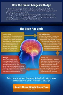  Brain Age: 脳を活性化するゲームで老化に逆らう！？